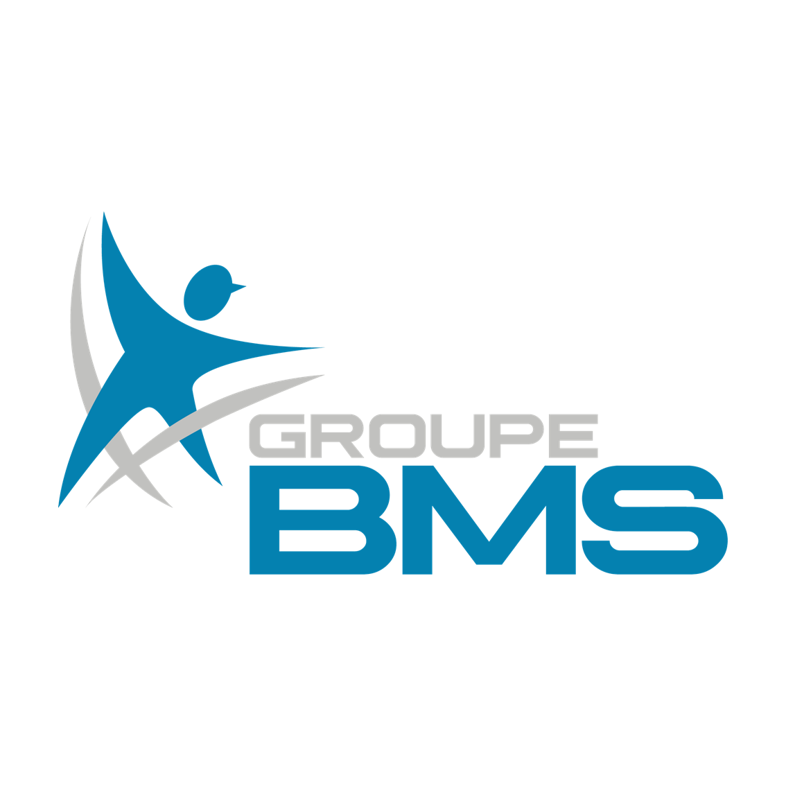 Groupe BMS